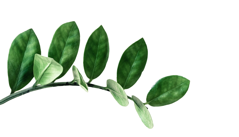 Guiding You to Smart Decisions