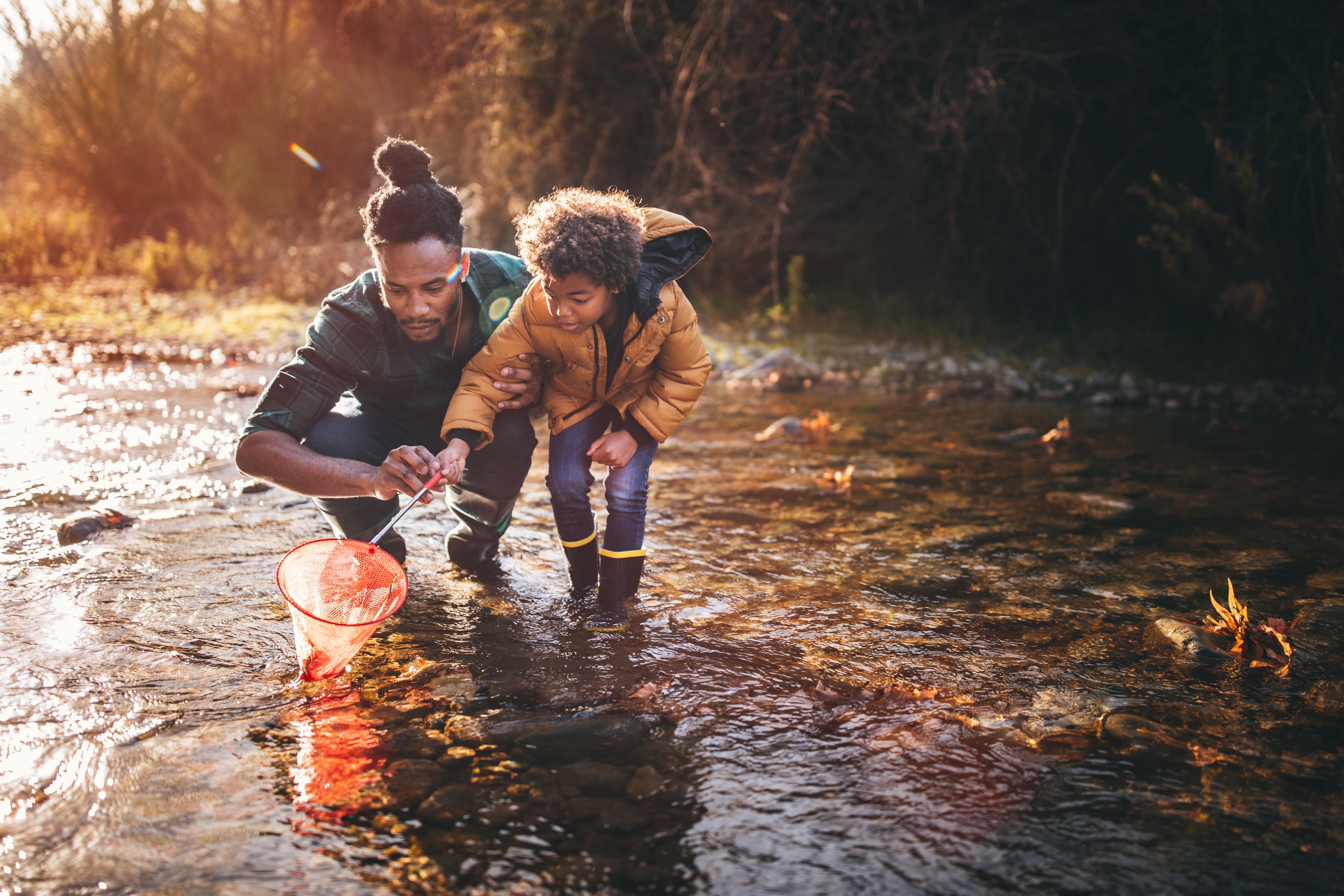 Your path to financial success begins here.