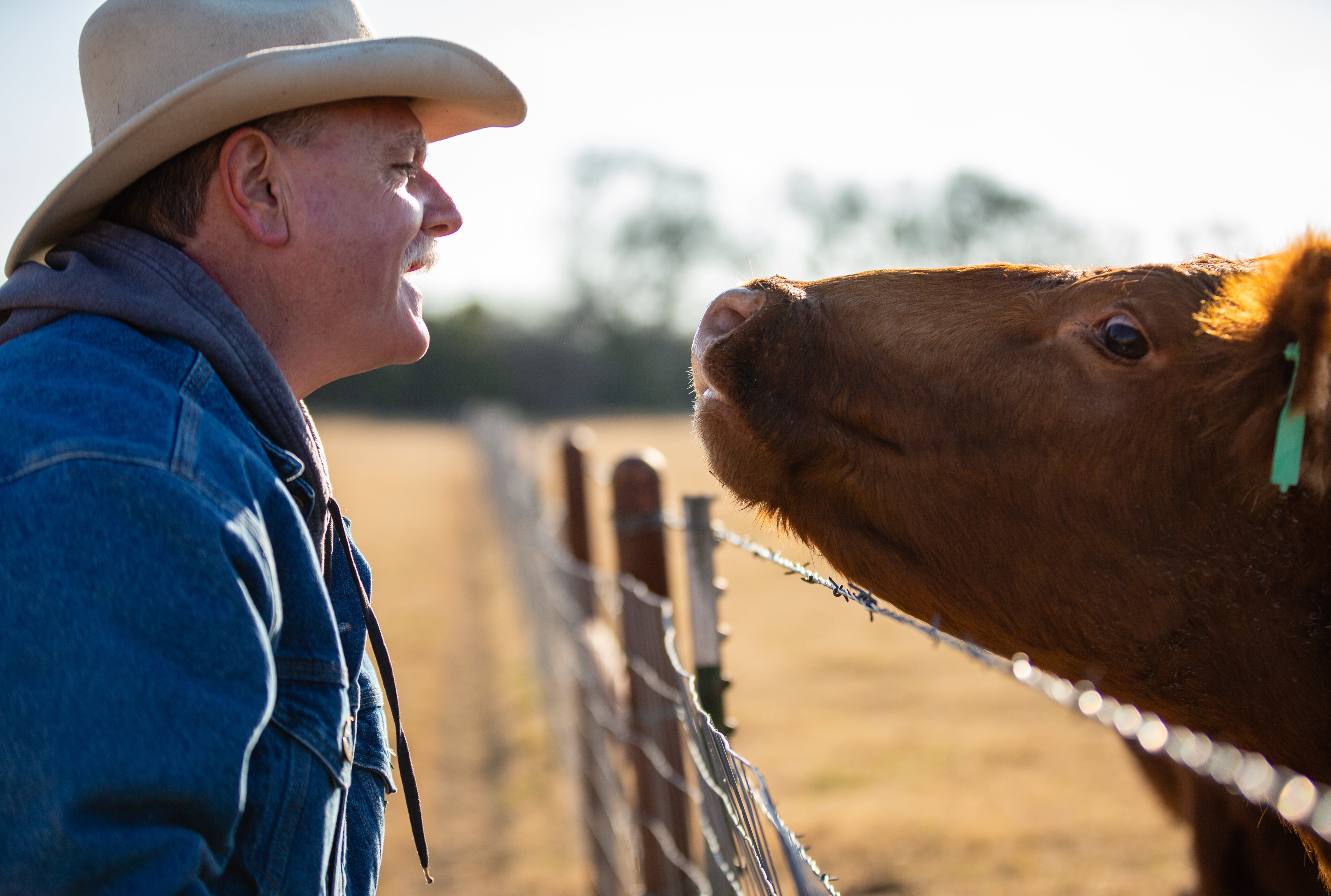 Peak Career Professionals