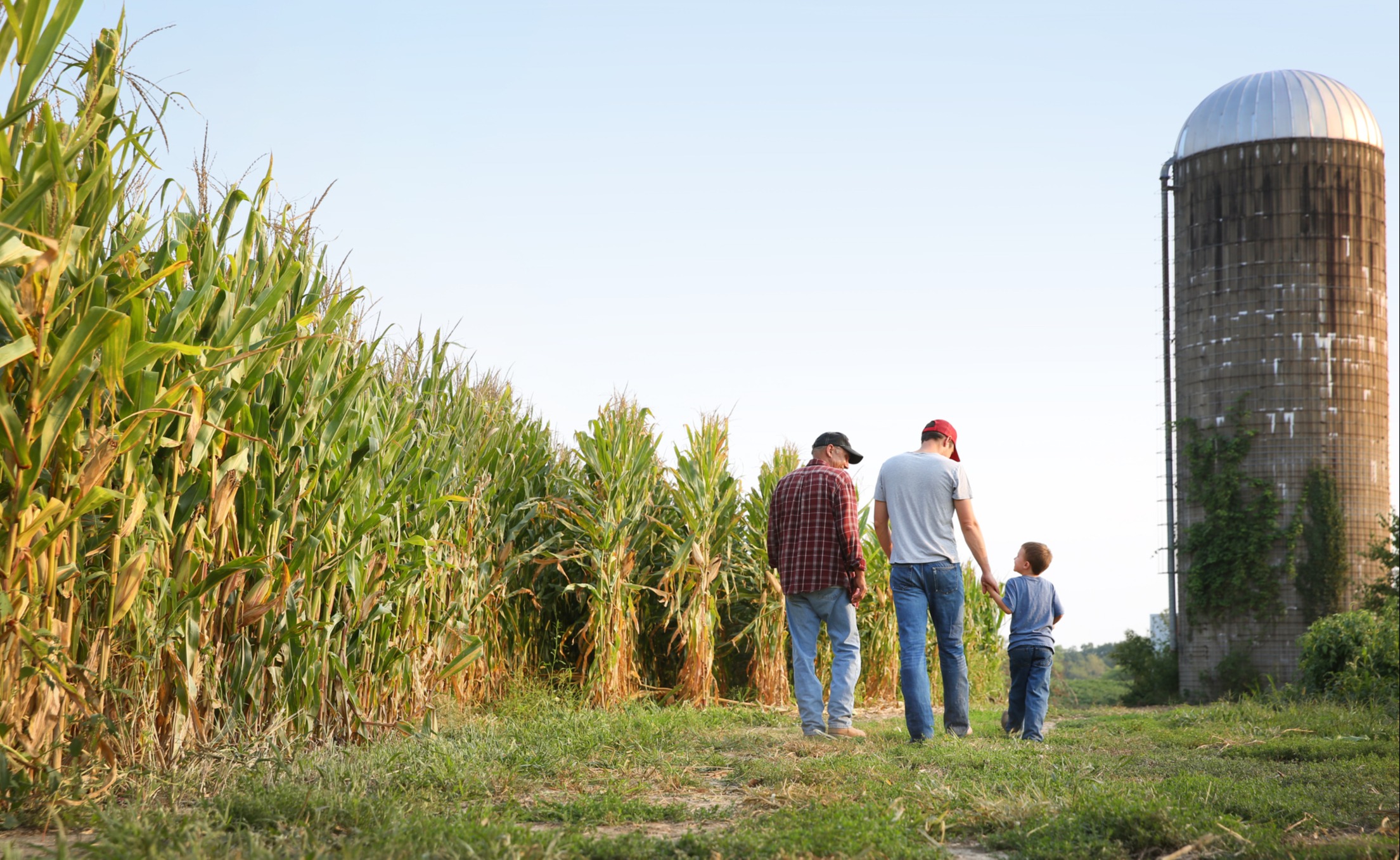 Working with rural families to preserve & utilize their wealth.