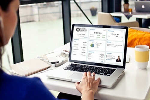 What can the WealthVision do for you?