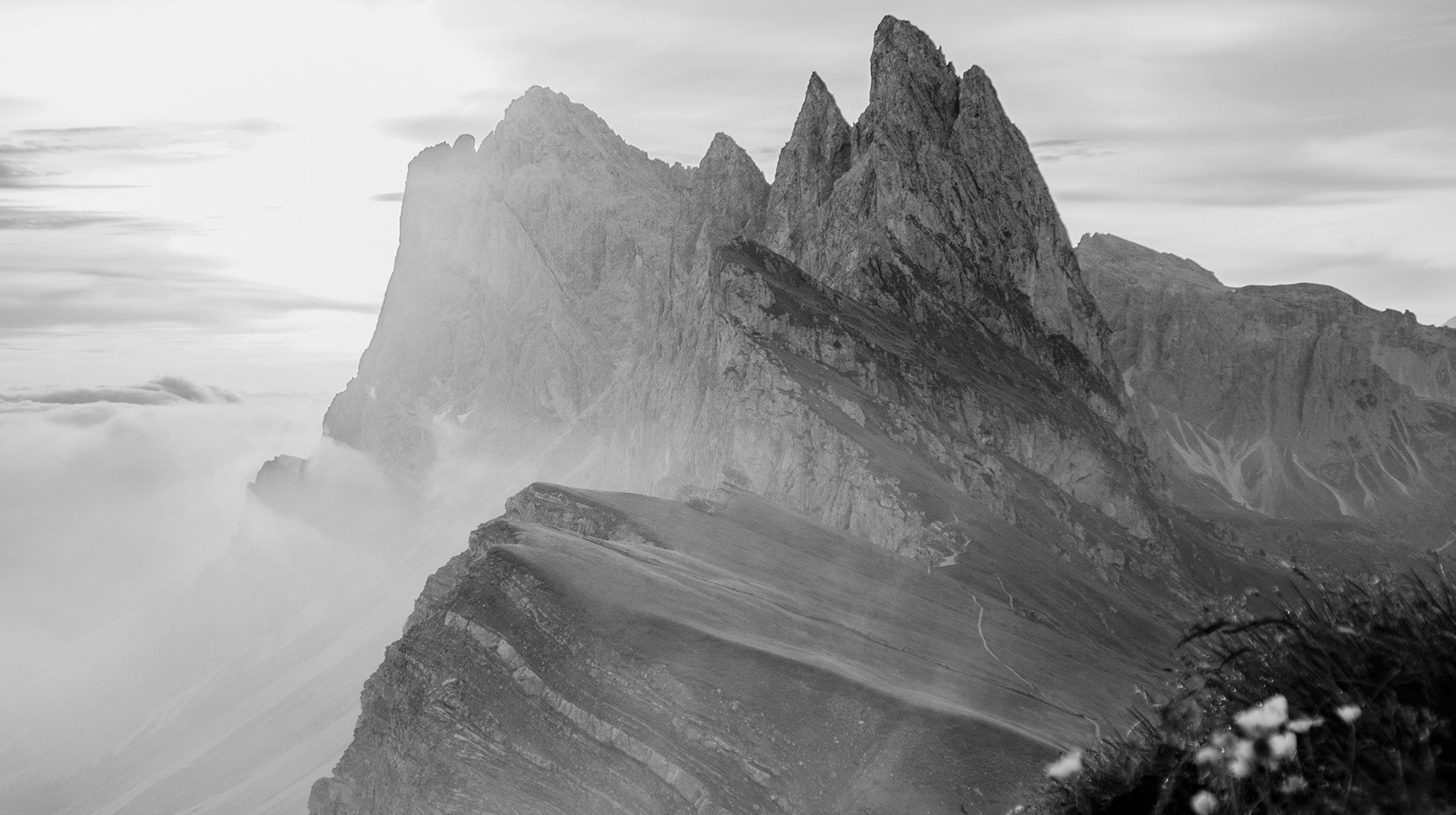 Economic Update Q4 2025