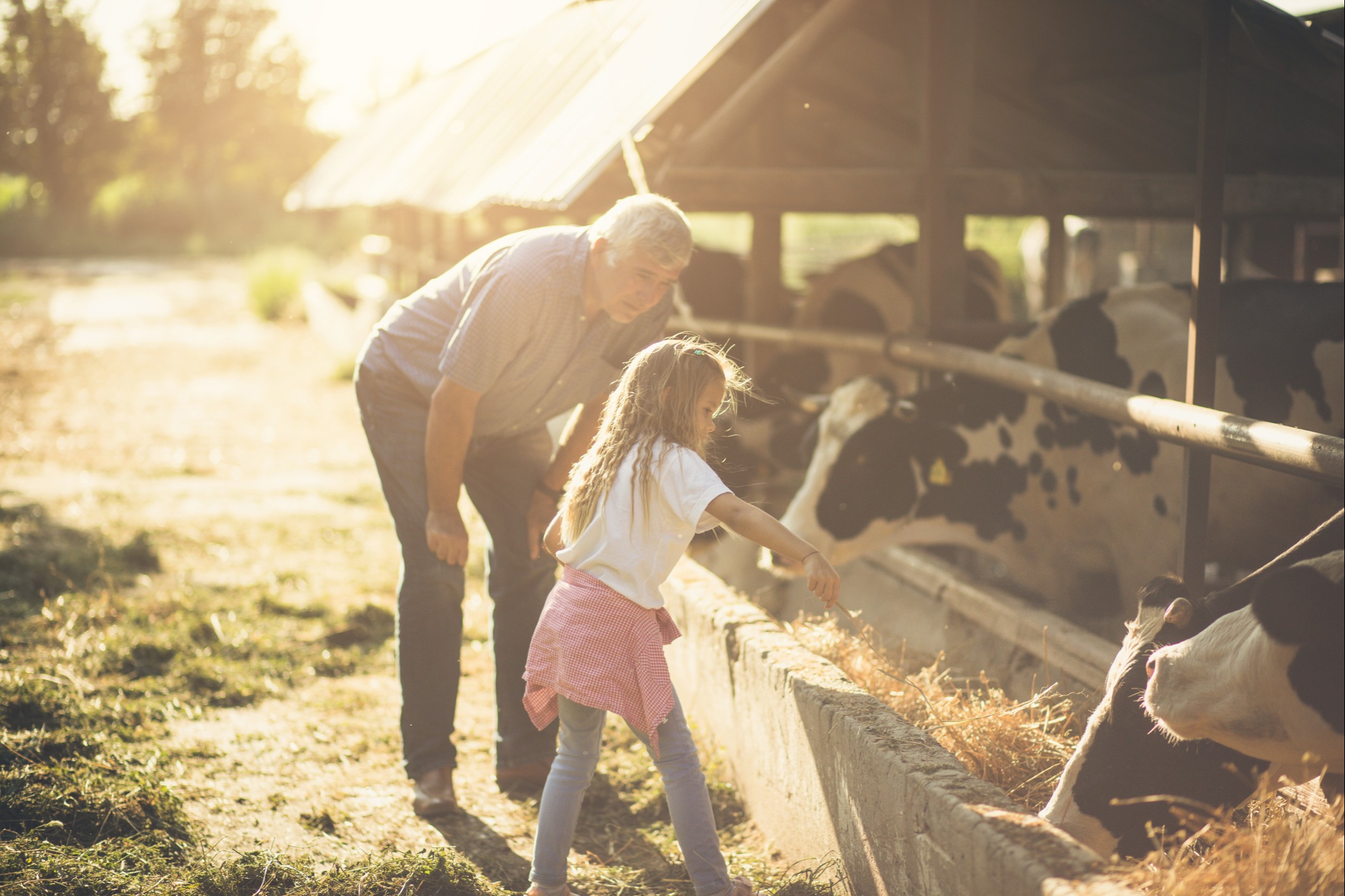 Your farm isn’t just your livelihood.<br/>It’s your family’s past, present, and future.