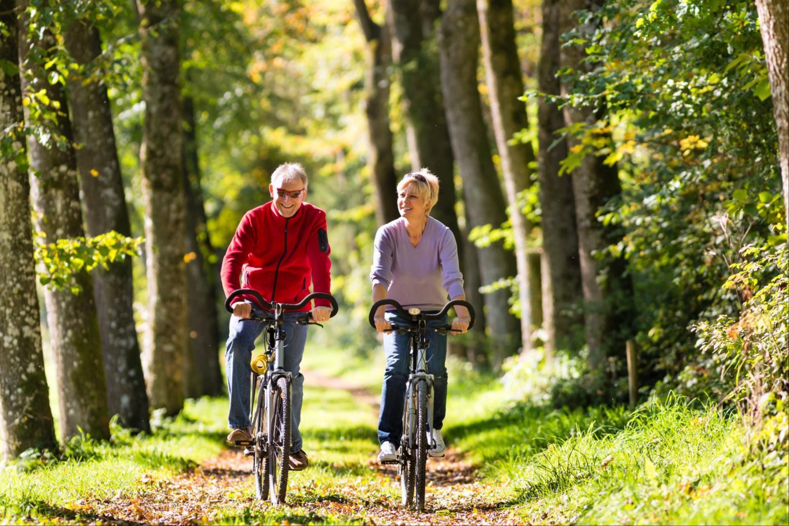 Couple riding bicycles on a forest path