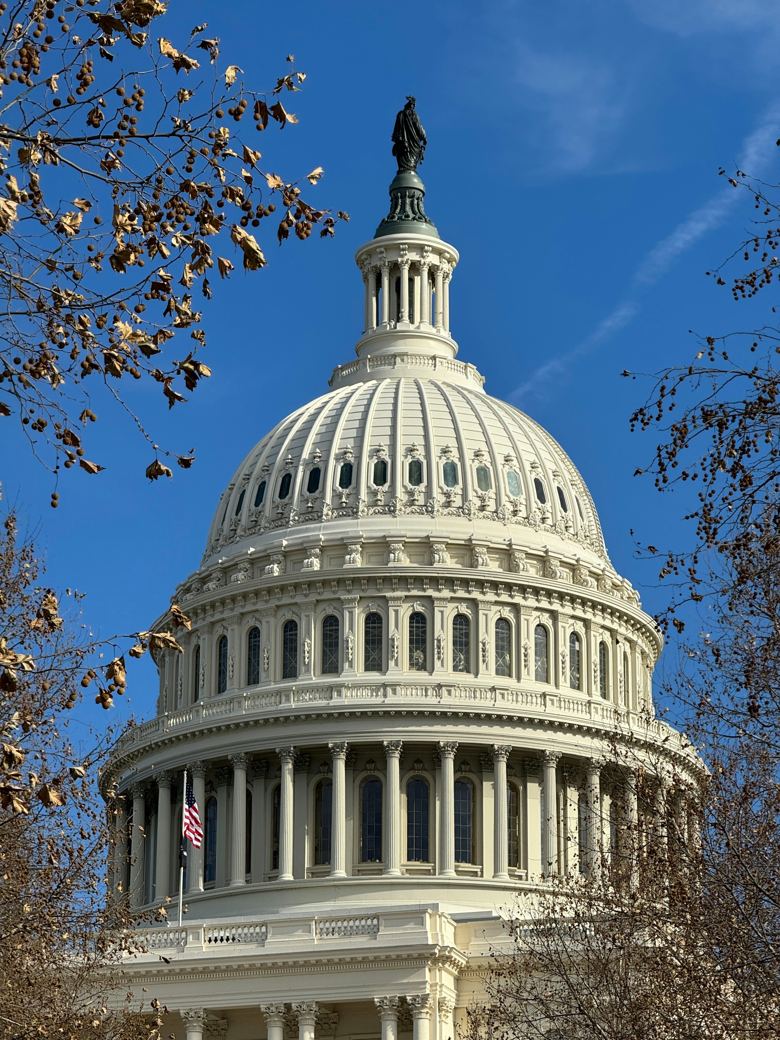 Federal Benefits<br/>