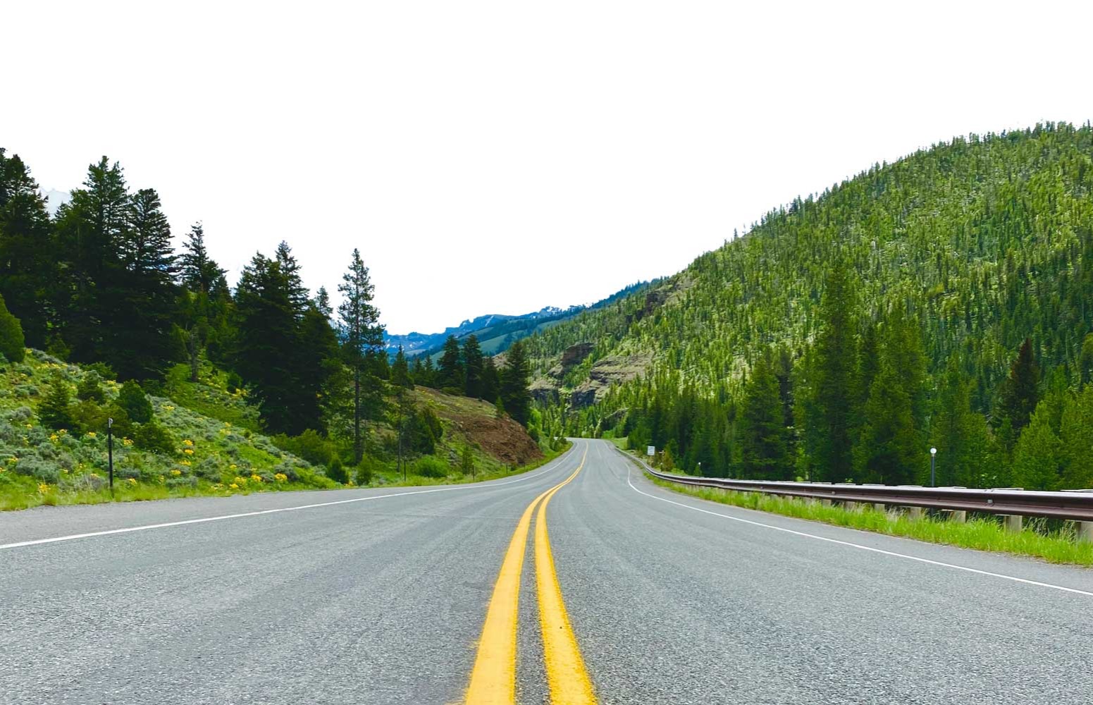 Specialized Guidance, Precise Direction