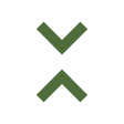 Family Directives icon