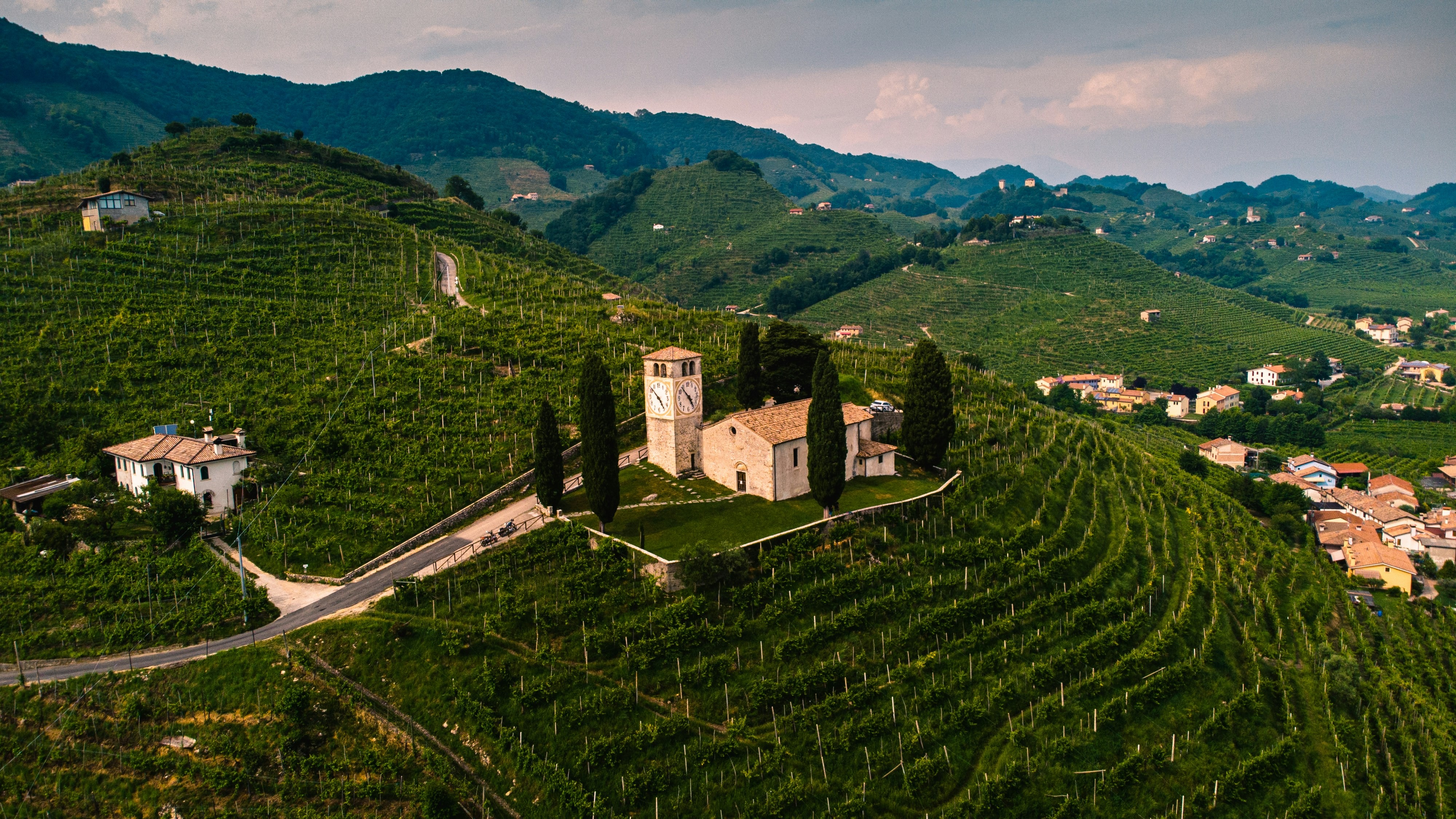 Wealth Transfer for a Family-Owned Winery