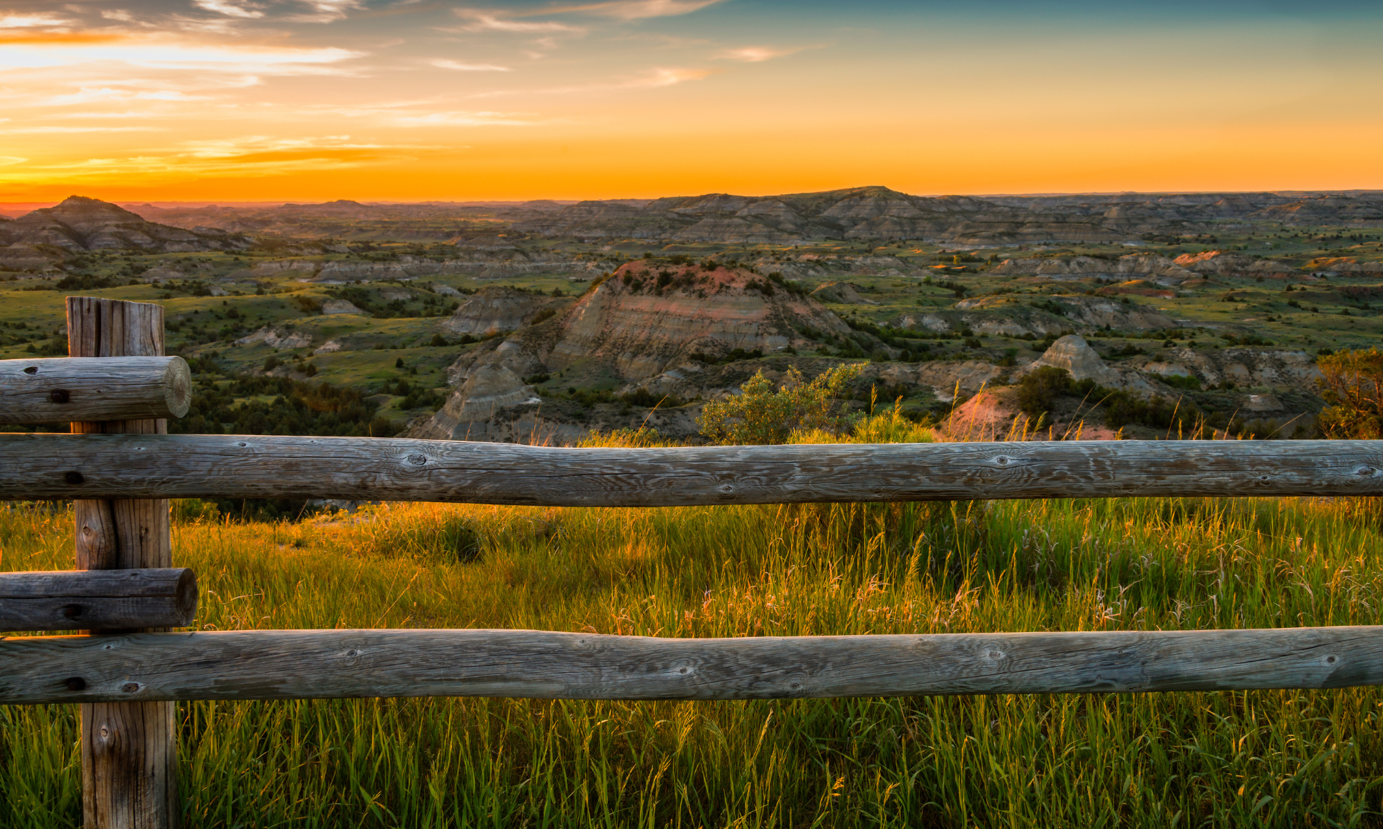 Equipping Clients to Live with Clarity & Intention