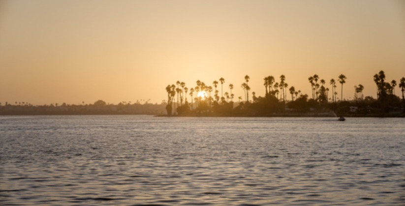 The Pursuit Of<br/>Peace Of Mind