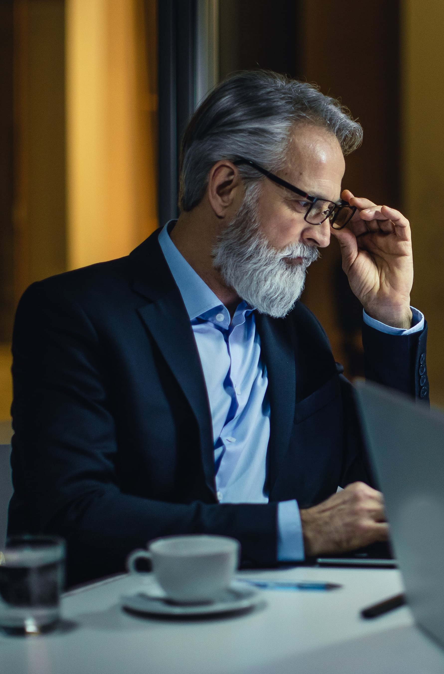 Corporate Executives 