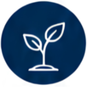 Stewardship