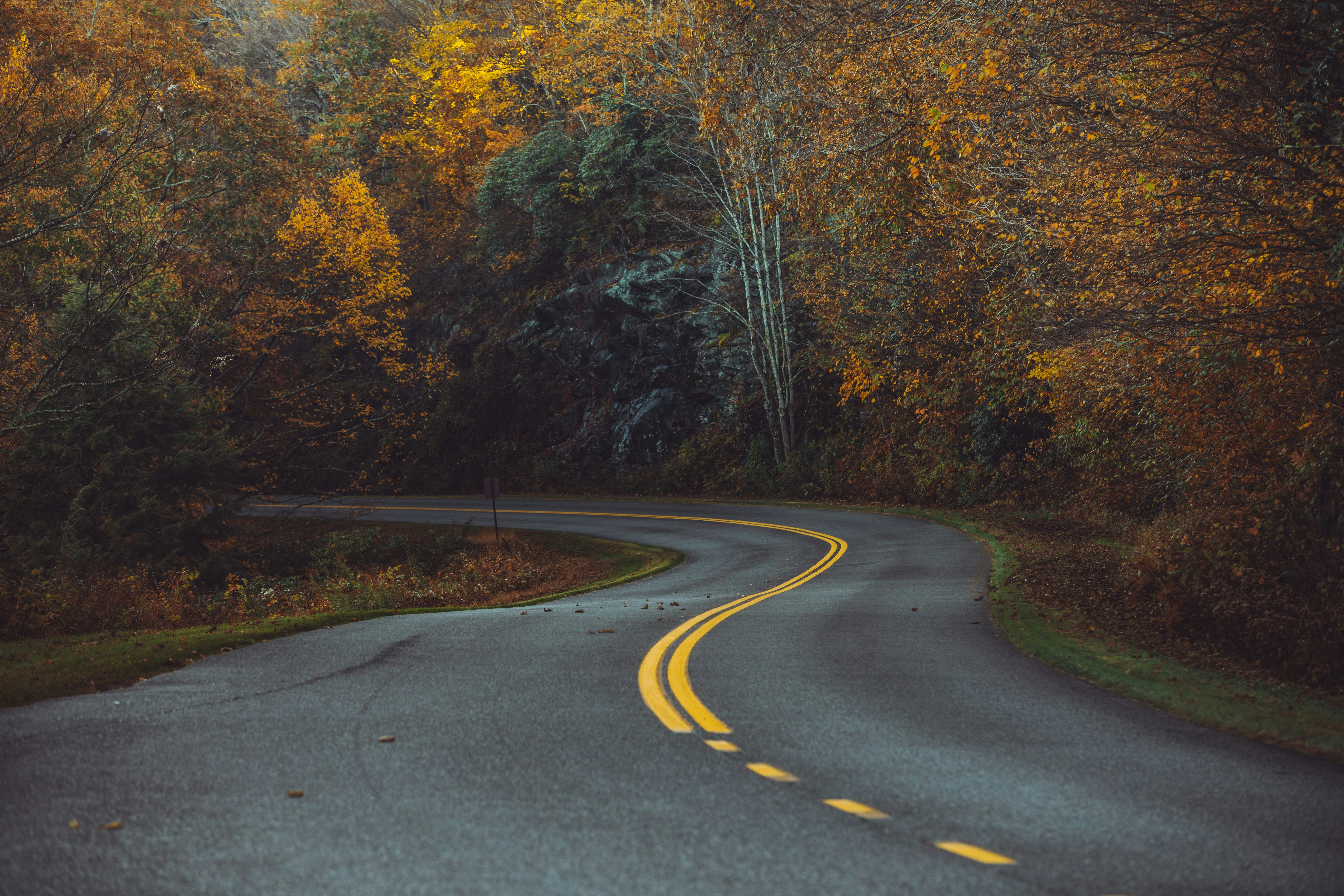 A partner On<br/><em>Your Life Journey</em>