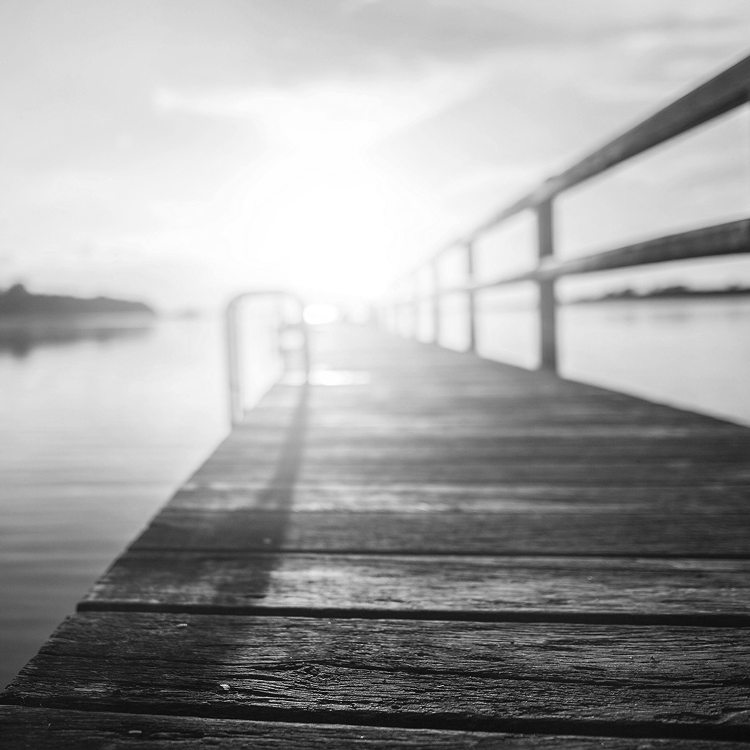 Sit Aspernatur Aut Odit