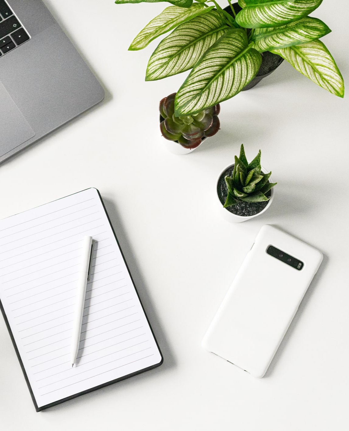 ... no copy here ...