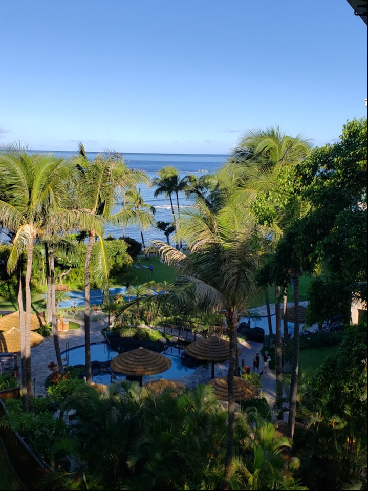 Welcome to Genesis One Wealth Builders