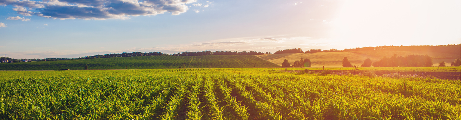 Your trust. Our expertise.