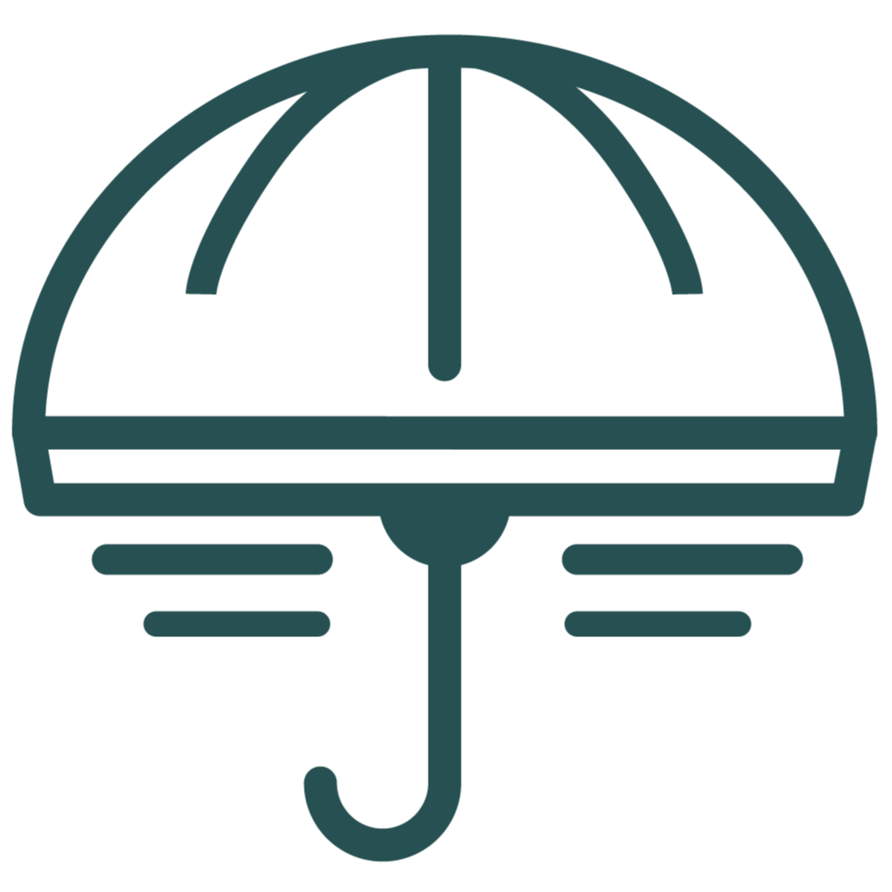 Risk Management icon