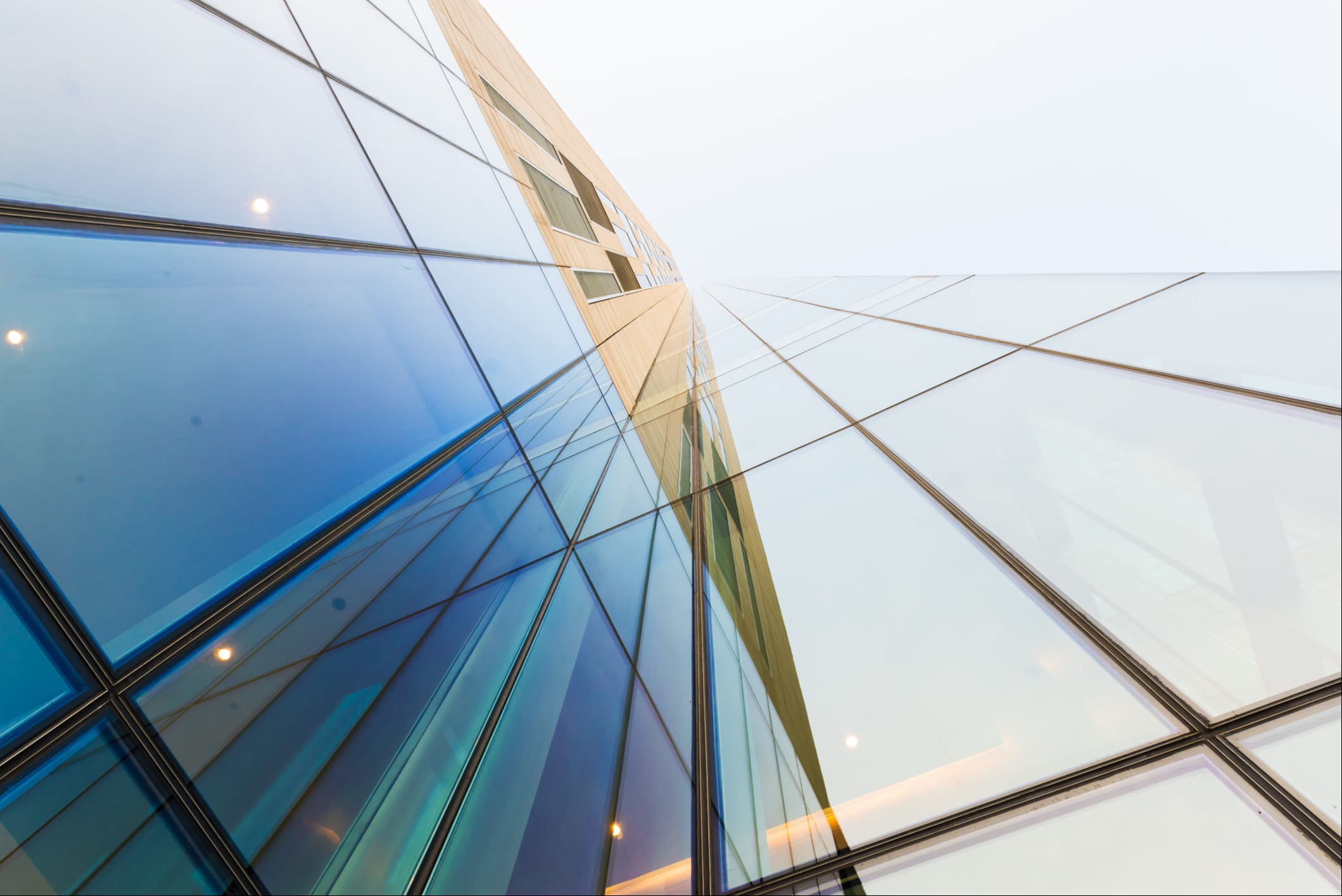 Tactical Investment Management