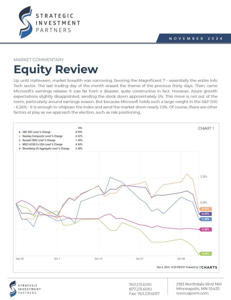 SIP Newsletter - November 2024