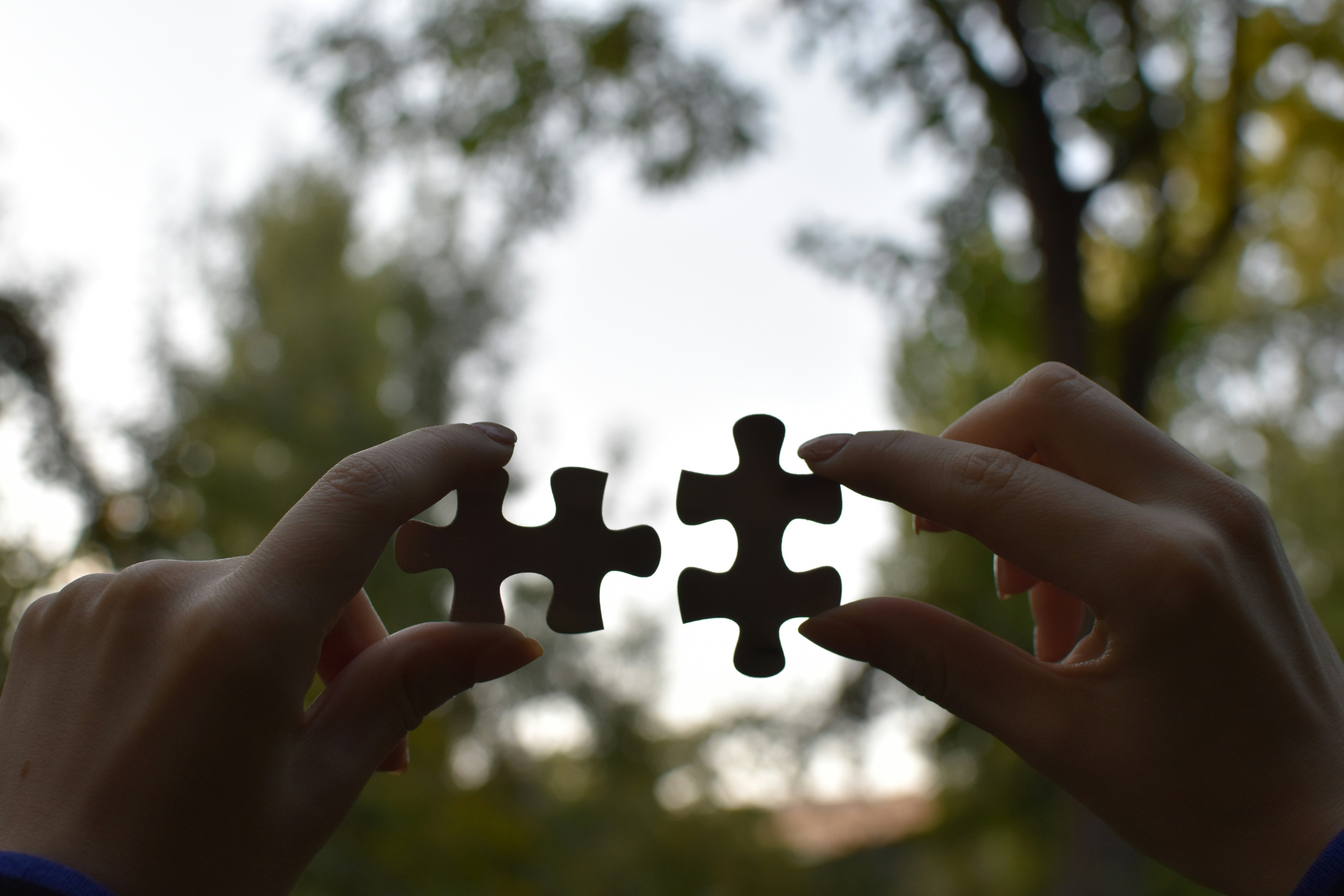 Wealth Management Partnership