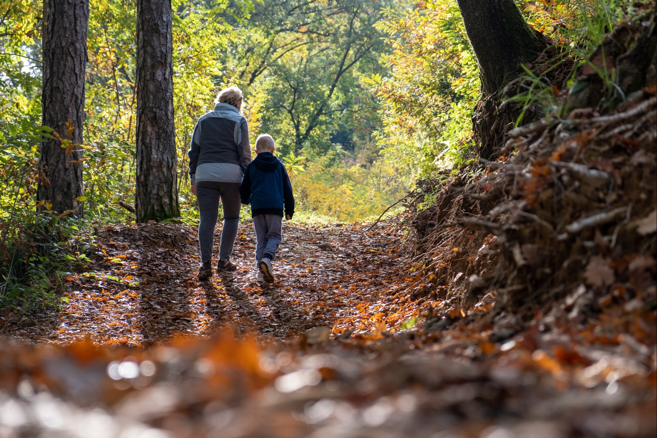 WEALTH TRANSFER ADVICE