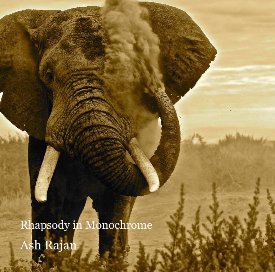 Rhapsody in Monochrome<br/>