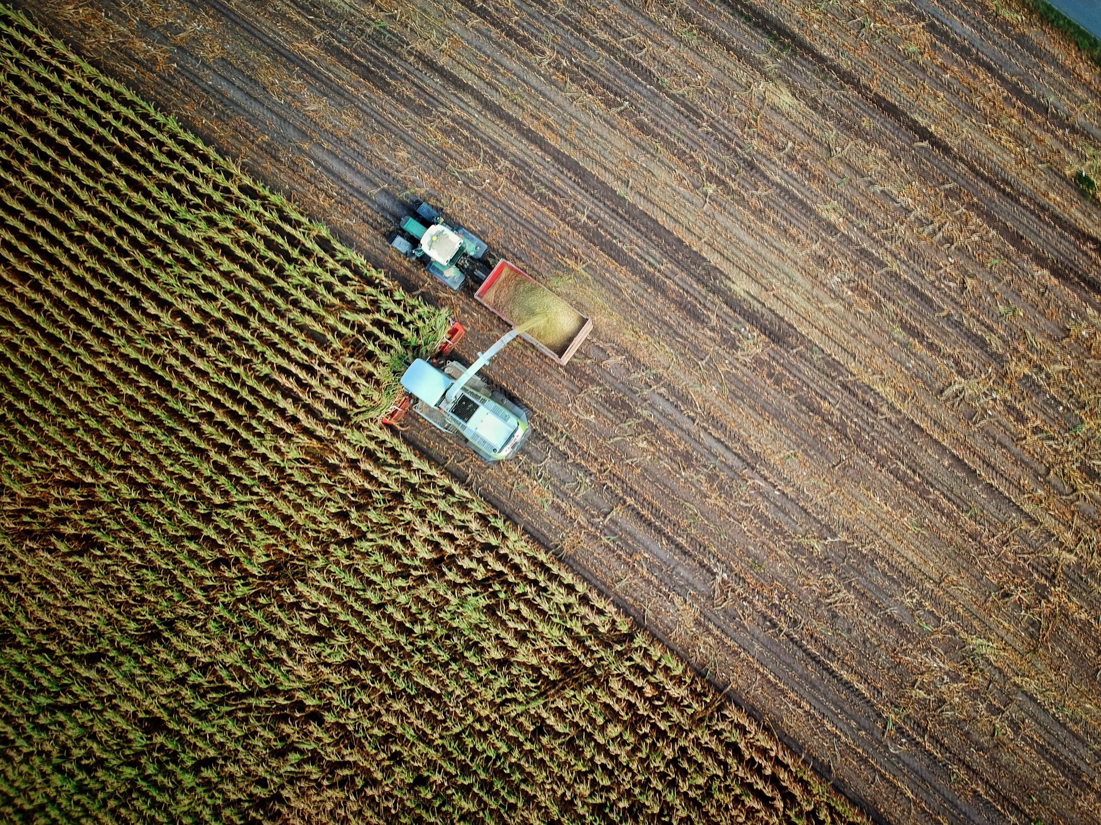 Small Business Owners/Farmers