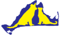 Animal shelter of marthas vineyard