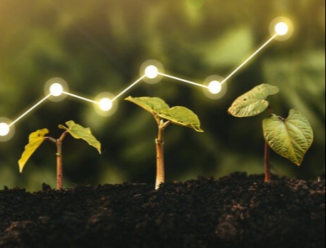 Growth