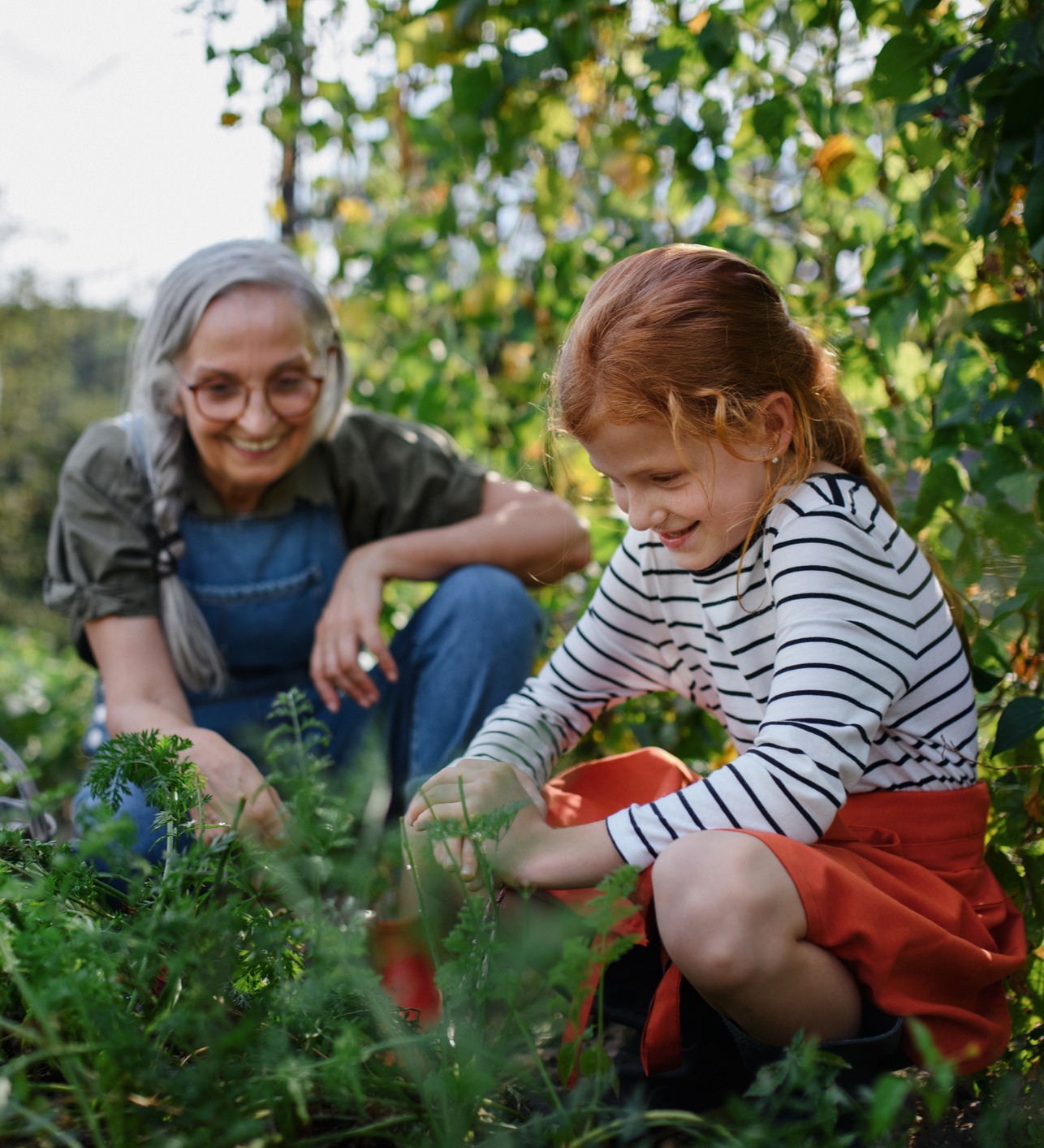 Little girl gardening with Grandmother