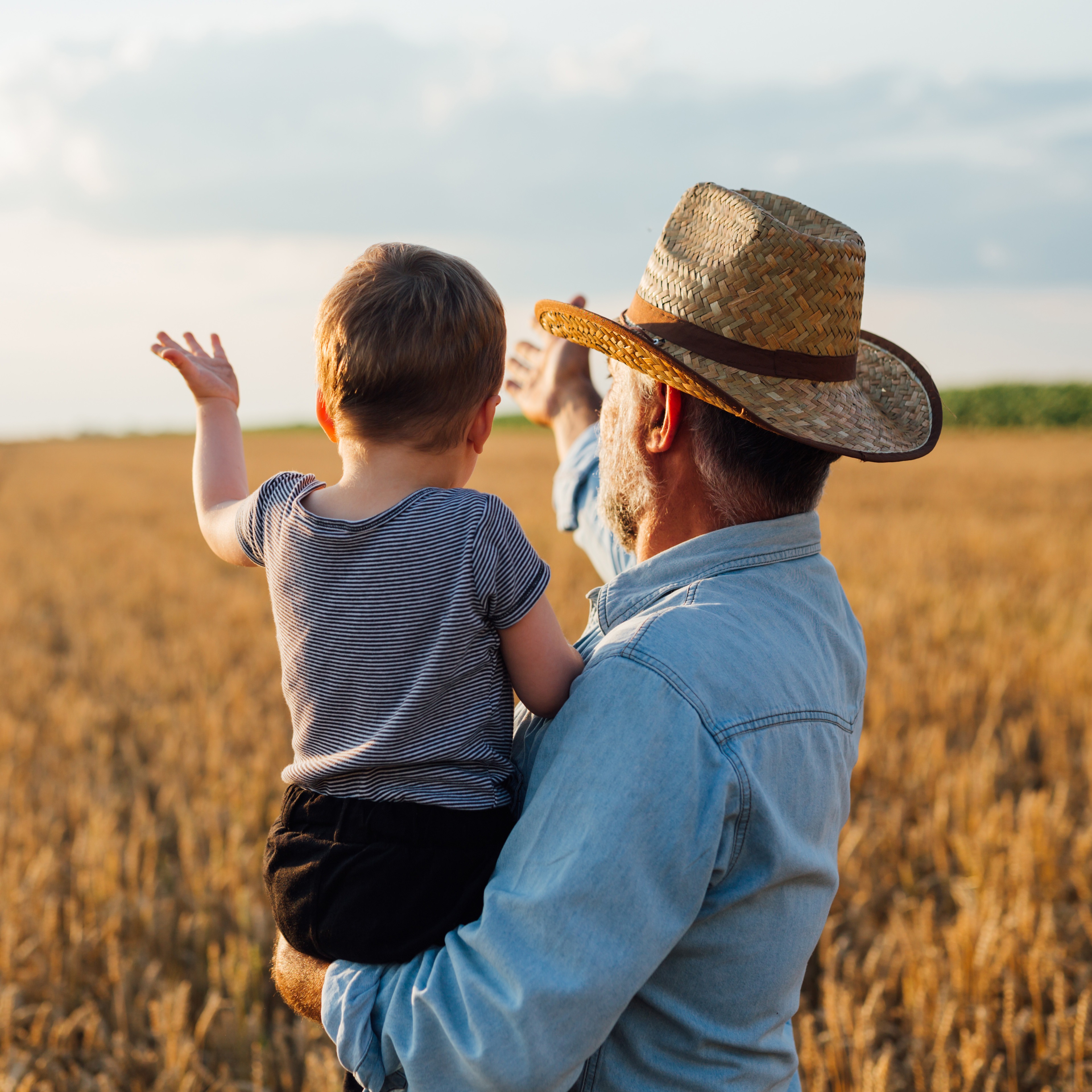 The Value of a Financial Advisor Is Not Just the Plan