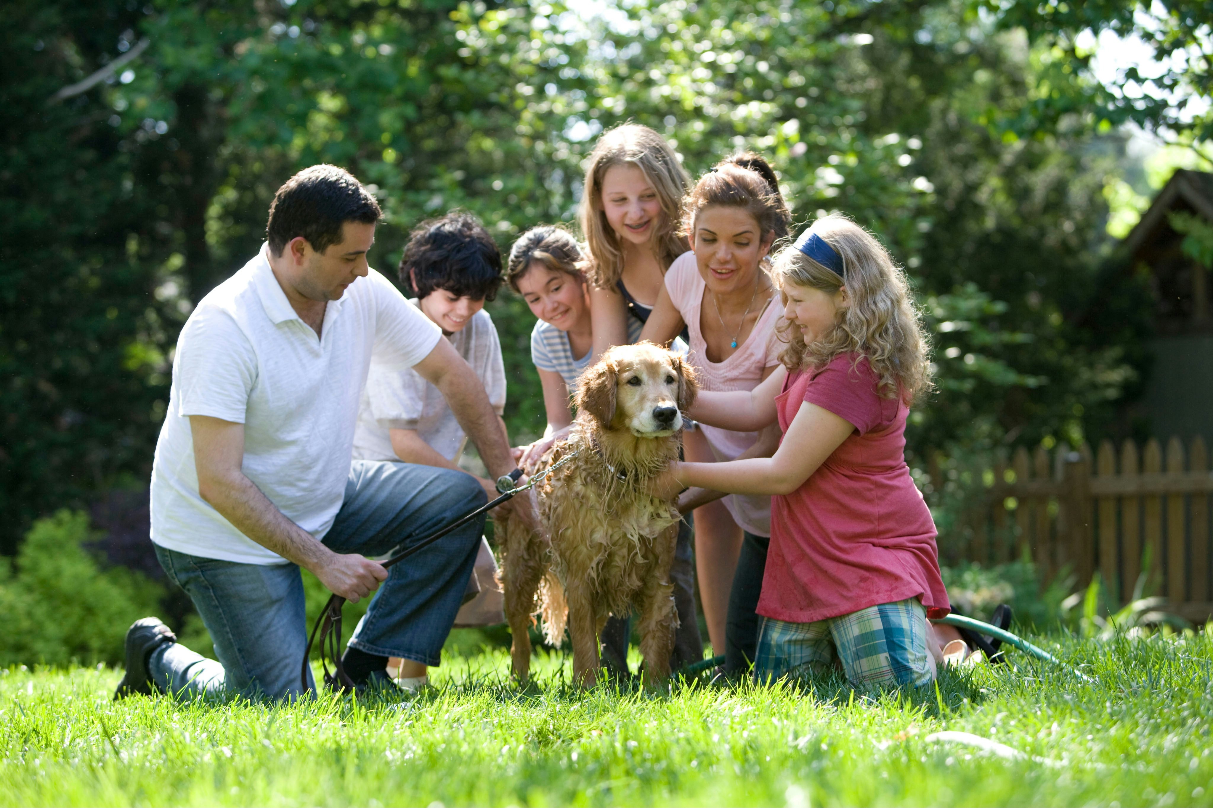 Families