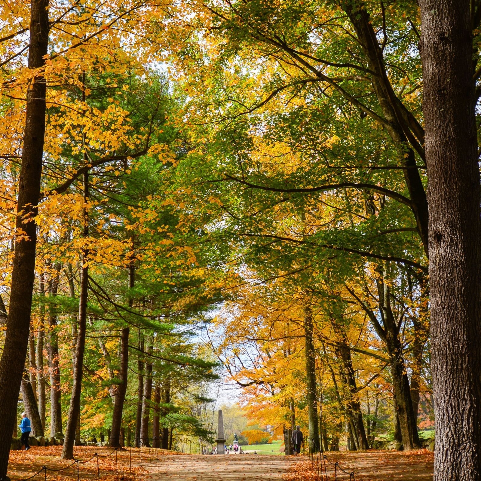 Step 1:<br/>Understanding Your Needs