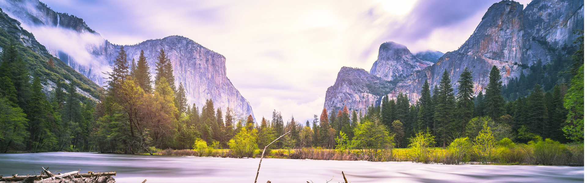 Your trust. Our expertise.