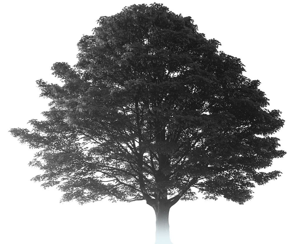 Delivering the synergy of financial and tax wisdom.