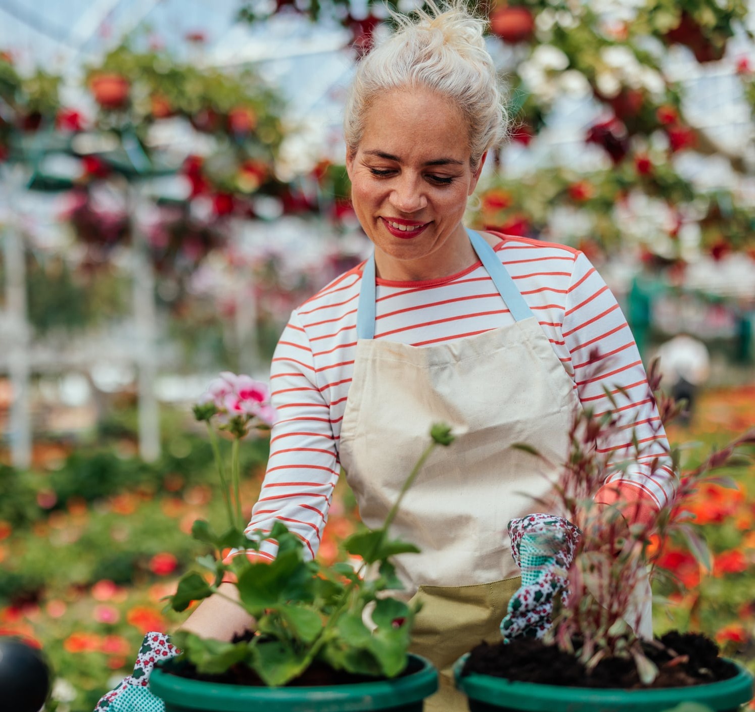 ... no copy here ...