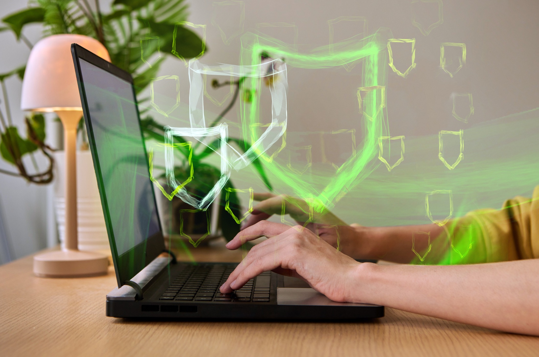 Security, Oversight, and Asset Protection