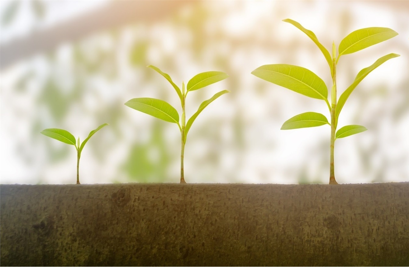 Your unique financial needs require a custom plan