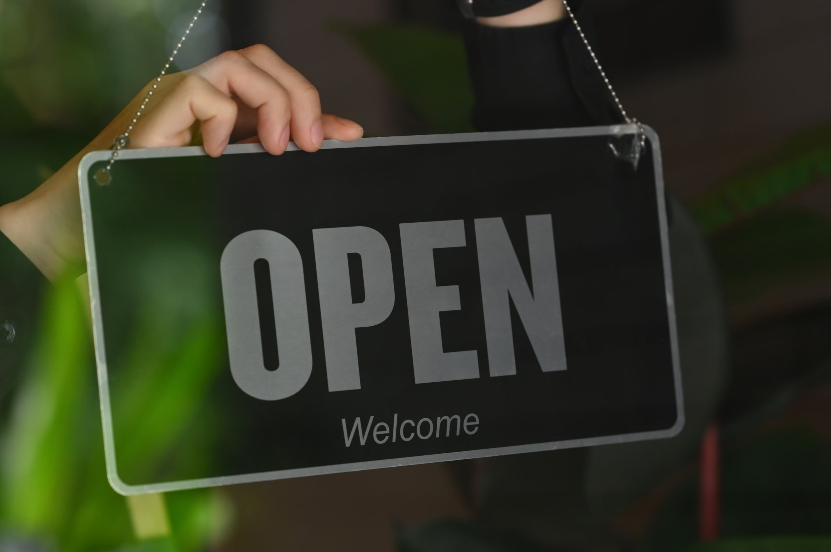 Established Optimizers