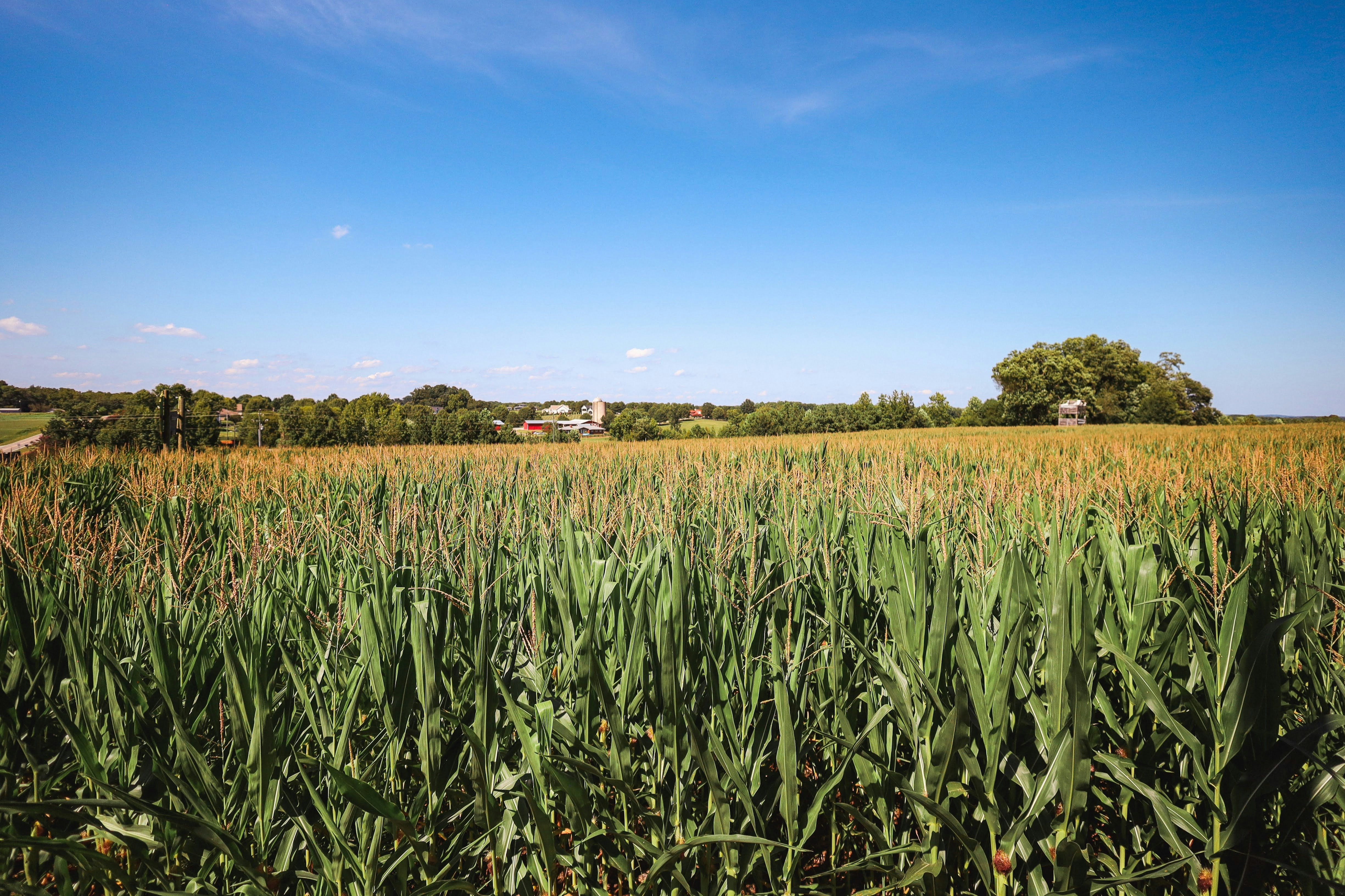 Livingston County, You Deserve Financial Excellence