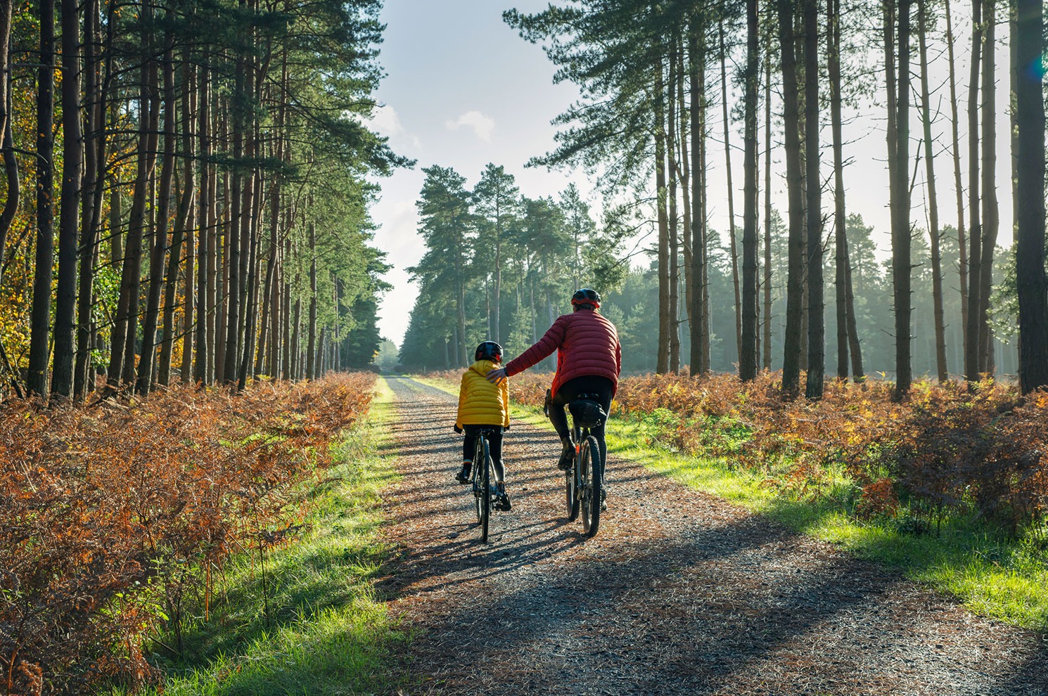 Welcome to Nine Pillars!