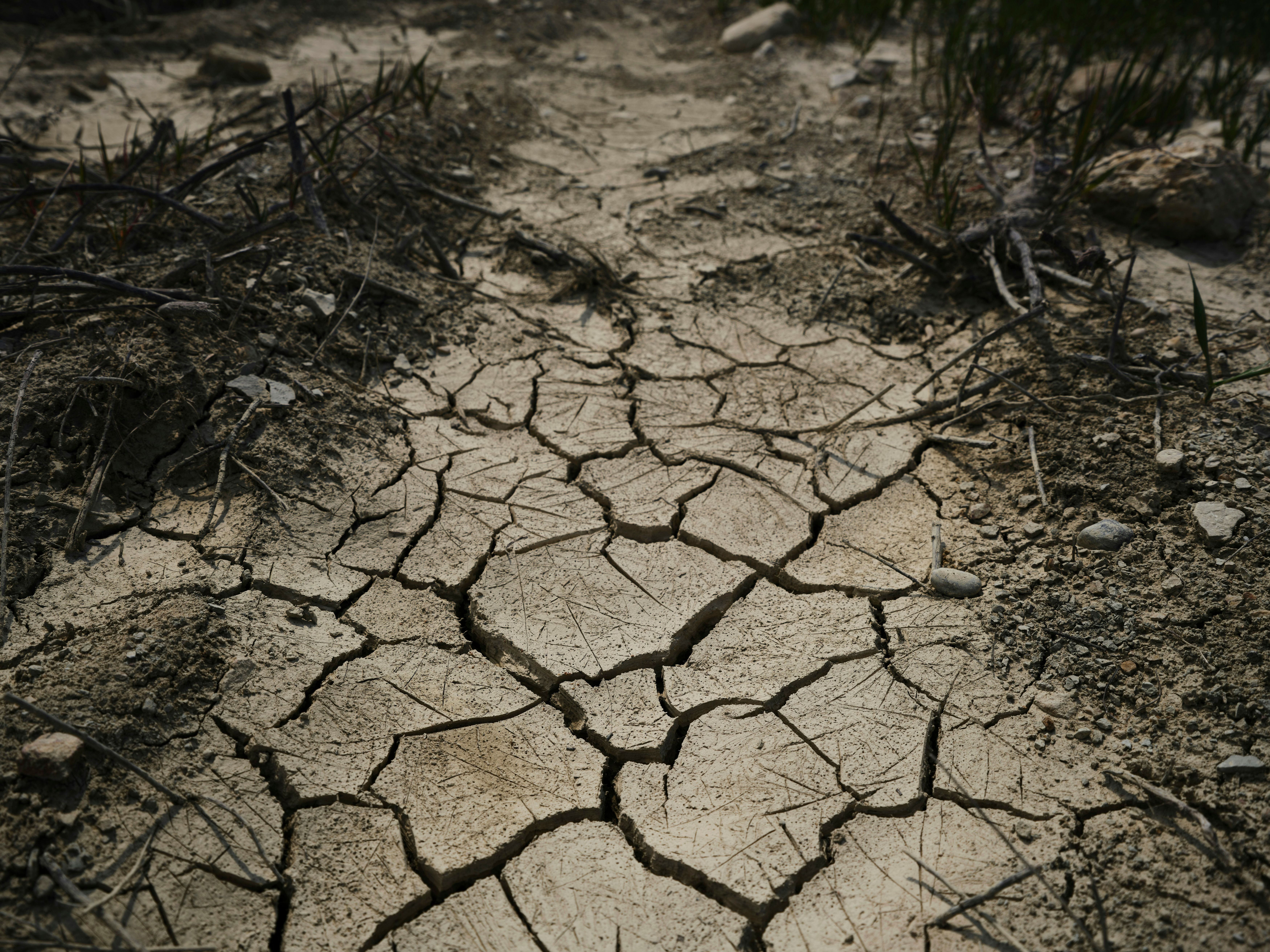 Ag Proud Article: Avoiding a Three-D Disaster