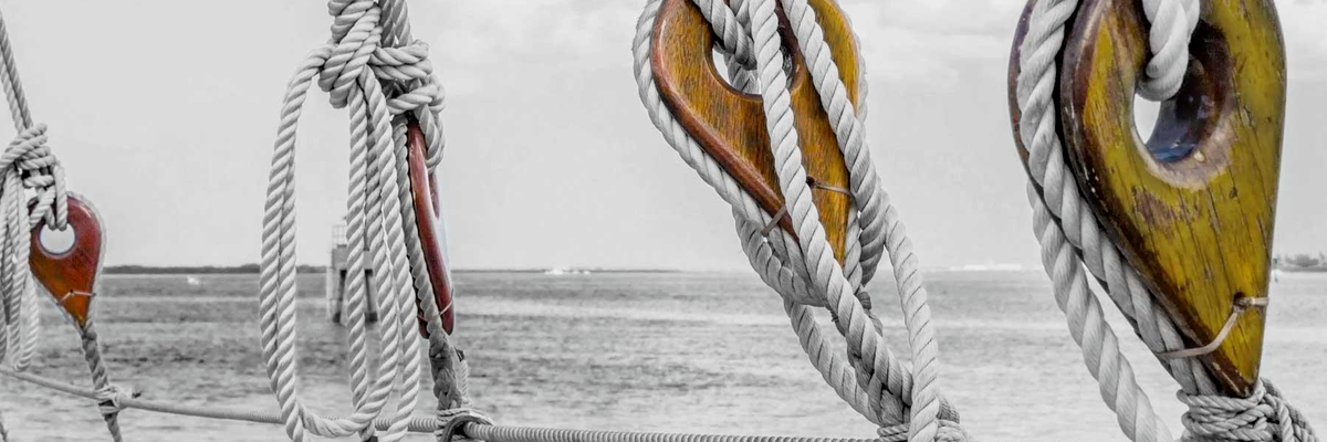 Lignum Wealth Management