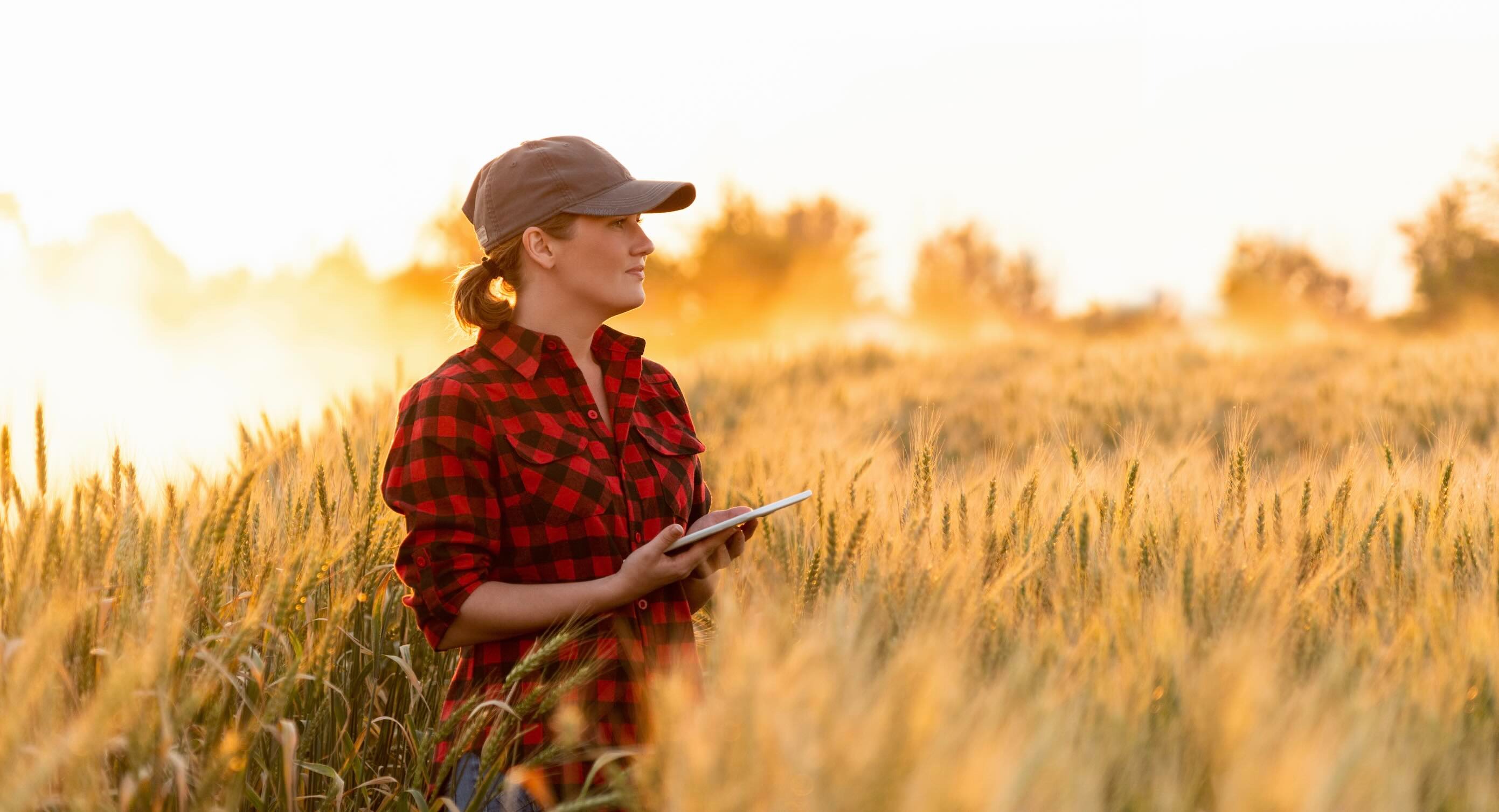 Experience Local Guidance & Broader Resources<br/>