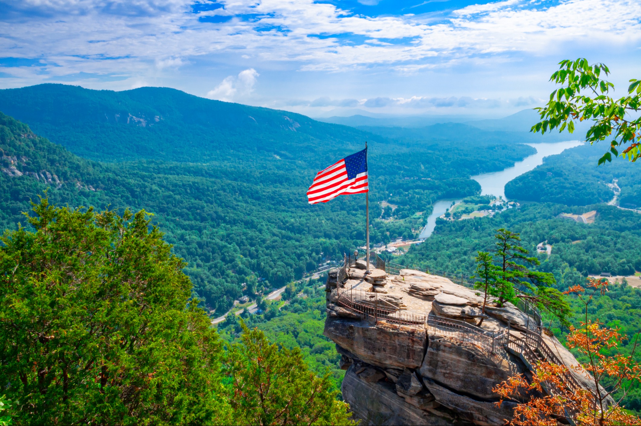Risk Management