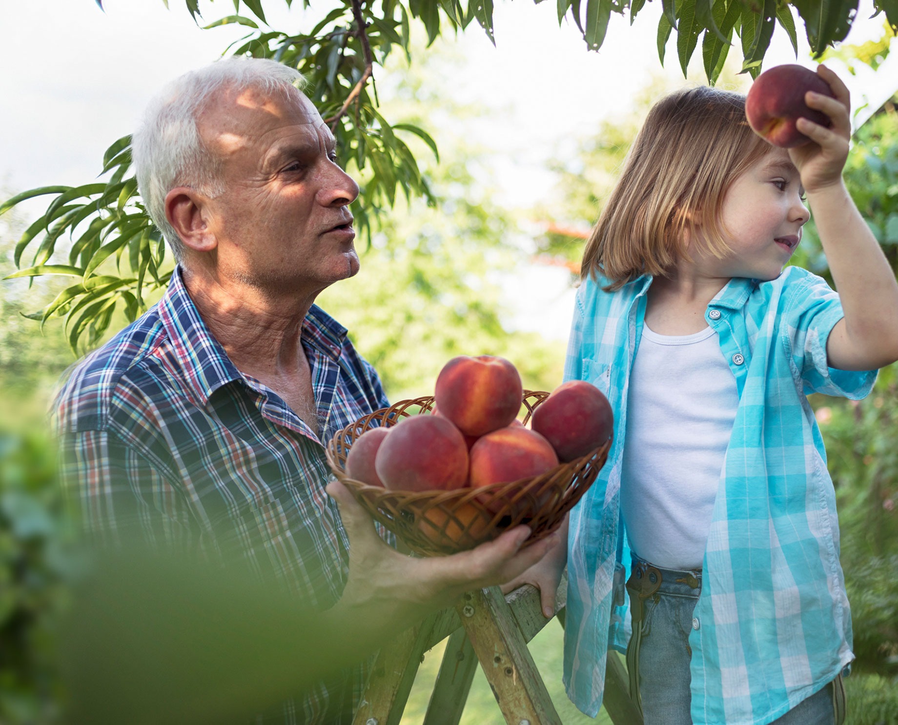 Real Intelligence – Not Artificial