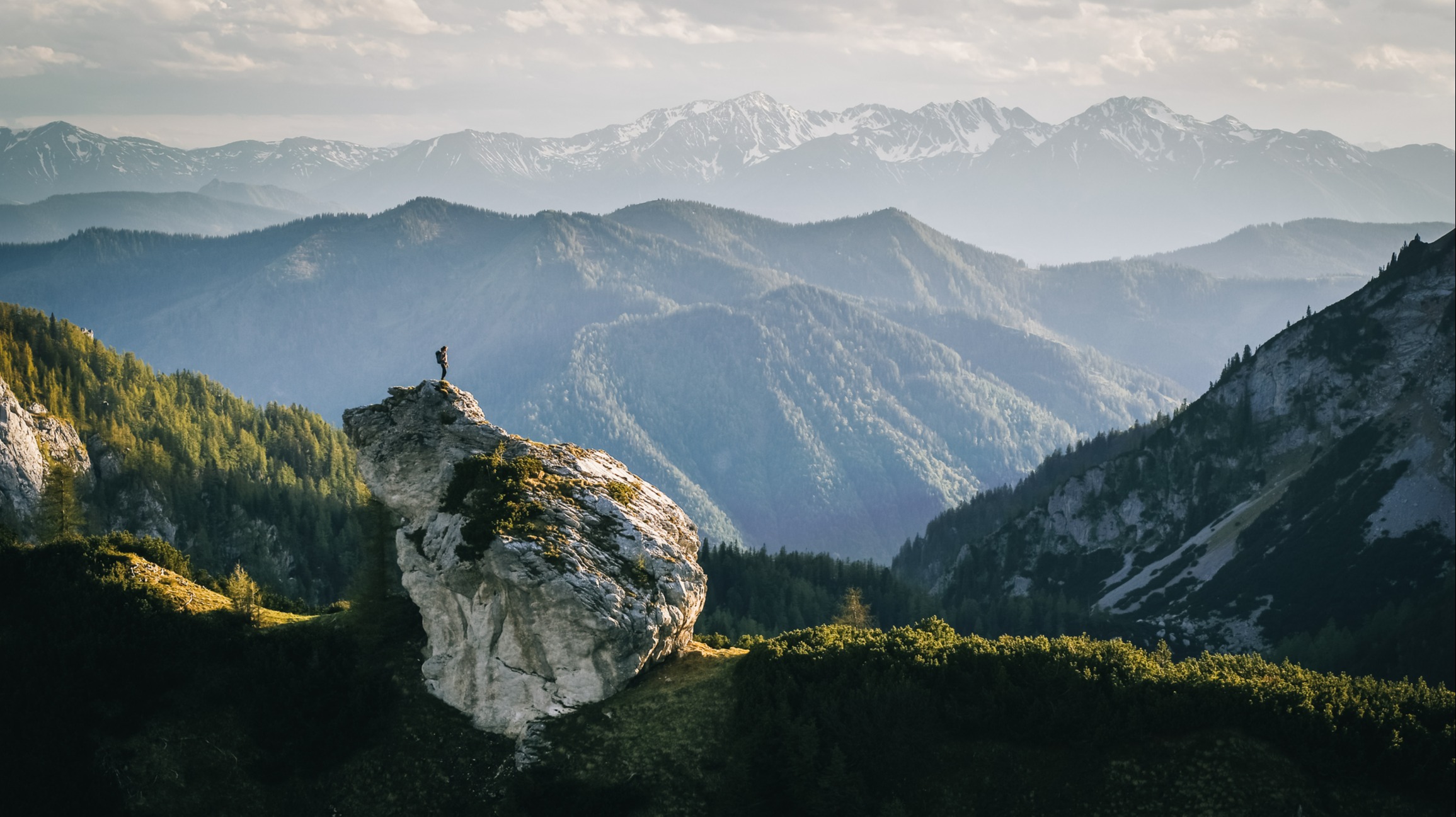 Sequoia Wealth Advisors & Investment Management, Inc.