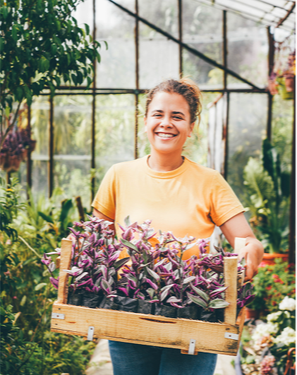 Non-Profits and Churches