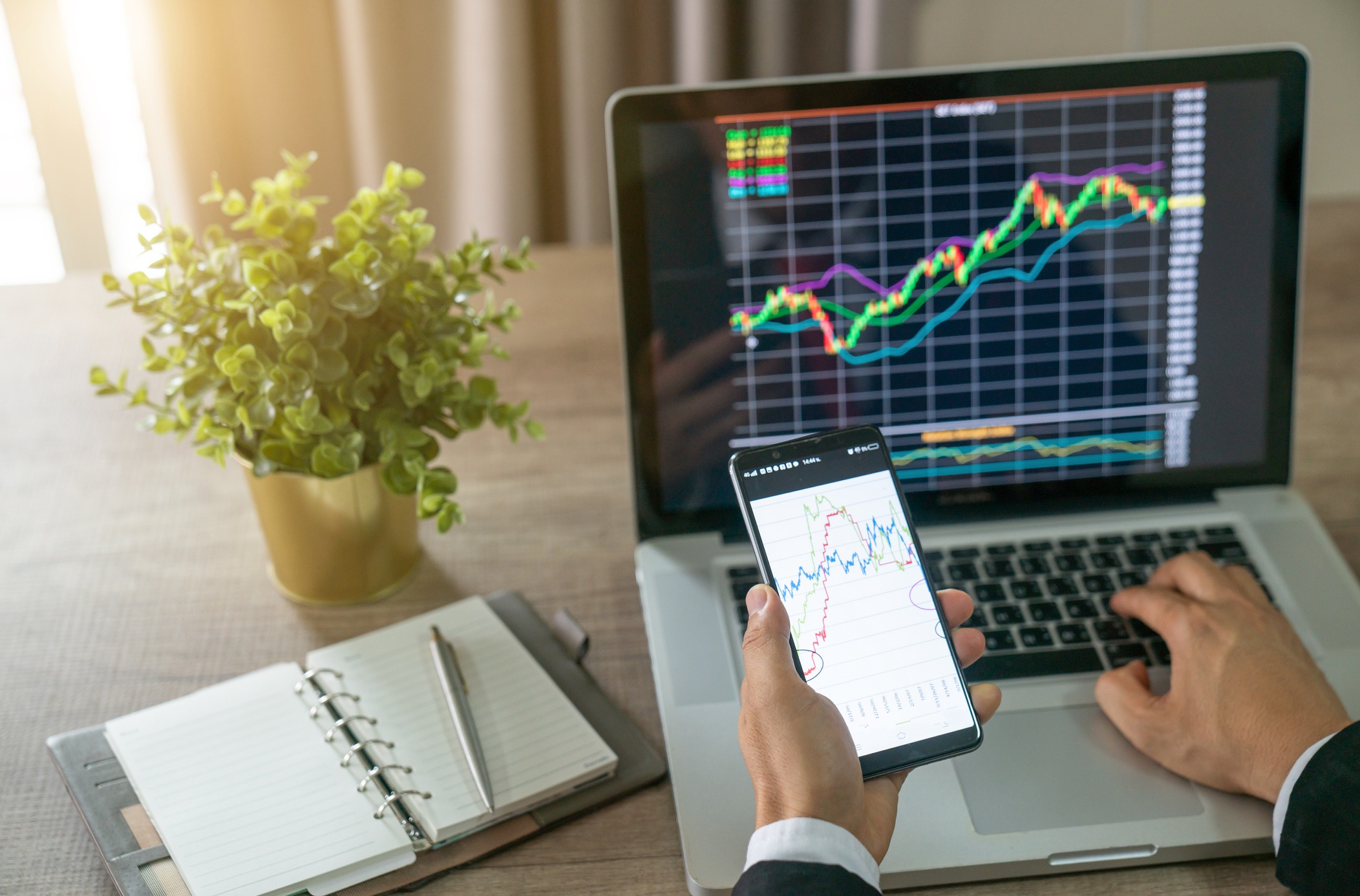 Working Professionals Building Stability